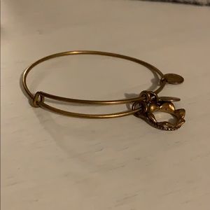 Alex and Ani braclet
